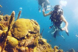 outdoor activities in cartagena colombia